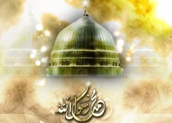 2_DONYA_SOFT__5_ (1).jpg