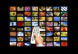 files_news_85879879921590808171612990629[5e83f230c8e5444324e1ac605db8f97c].jpg